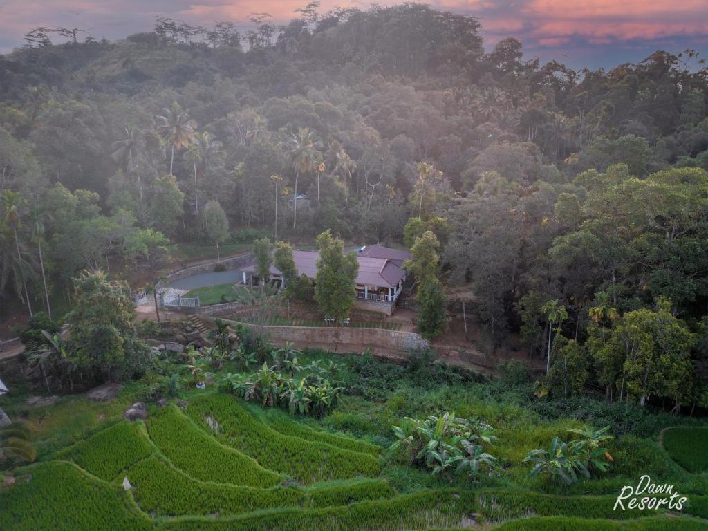 una vista aerea di una casa in una piantagione di tè di Dawn Resorts a Elkaduwa