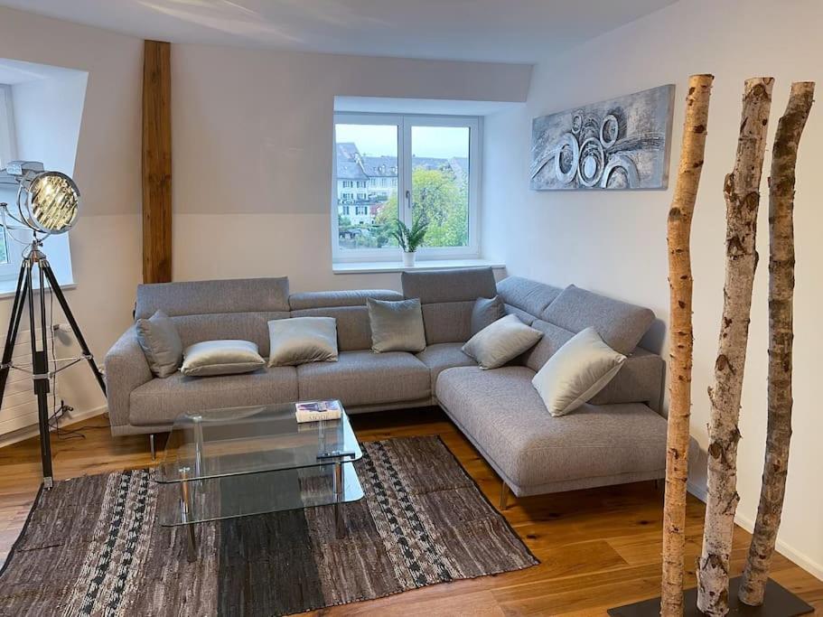 Posezení v ubytování Schlossappartement Rapperswil