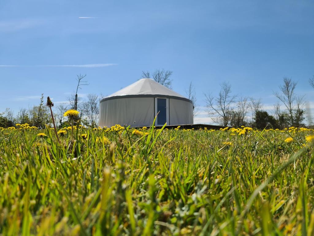 a field of grass with a tent in the background at Camping à la ferme - Hébergements insolites in Cerisy-la-Forêt