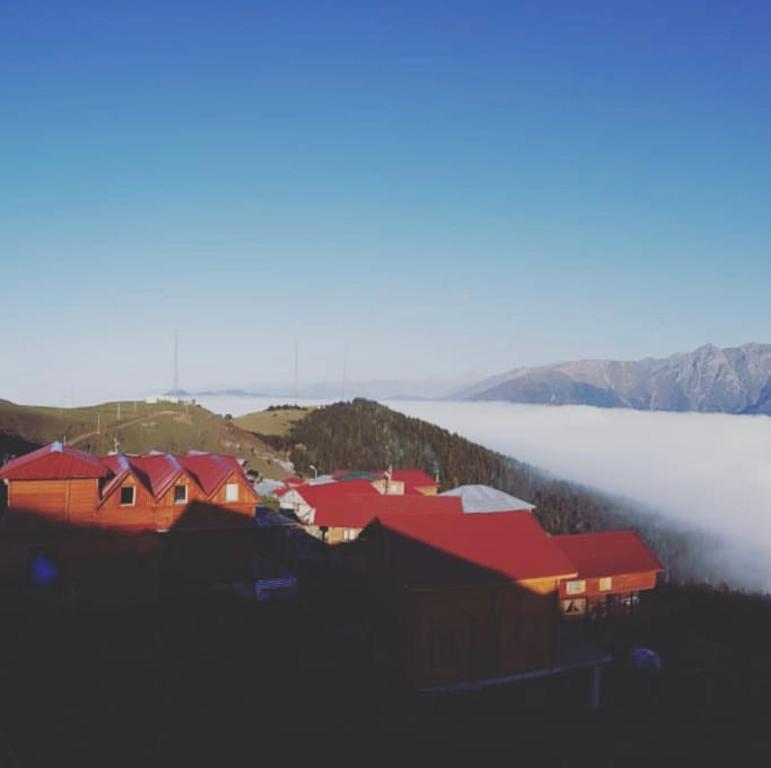 eine Gruppe von Häusern auf einem Hügel mit Nebel im Hintergrund in der Unterkunft CiciBaba DağEvi in Rize