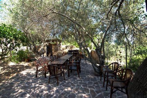 Ogród w obiekcie Villa Arancio Giorgio