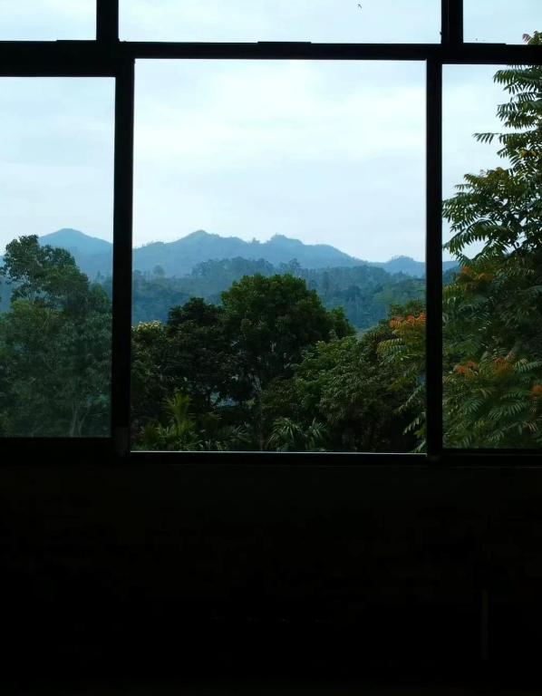 Ella nine arch spice garden - 18