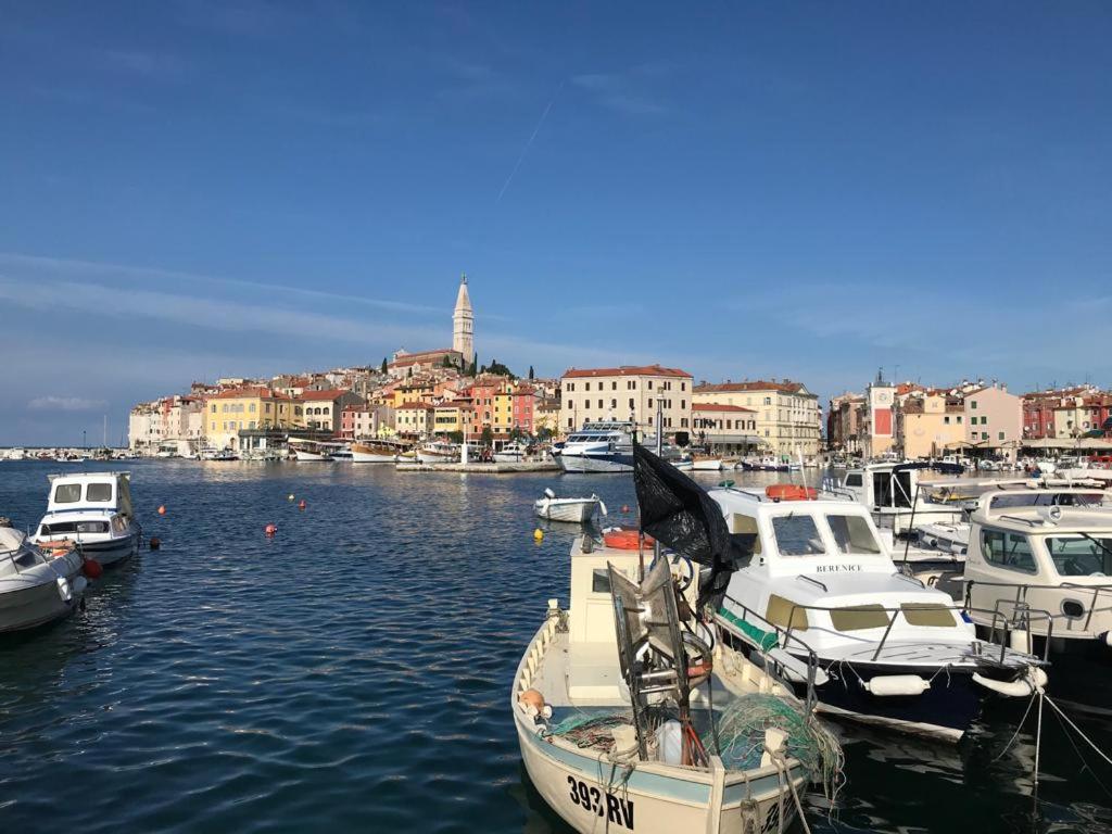 a bunch of boats are docked in a harbor at Maestral in Rovinj