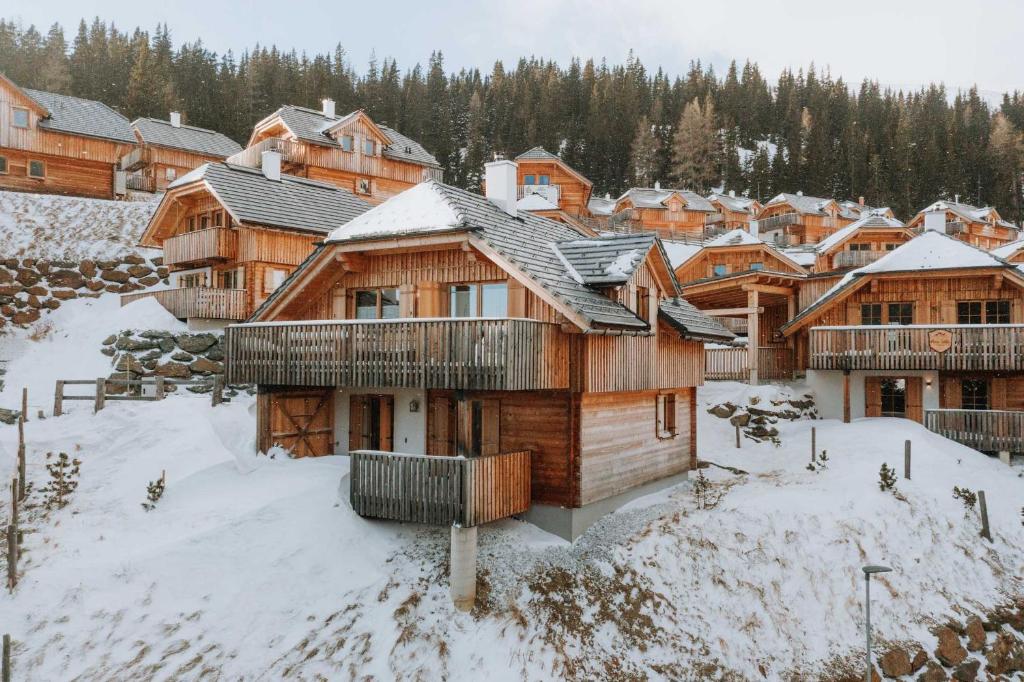 Chalet Aconitum v zimě