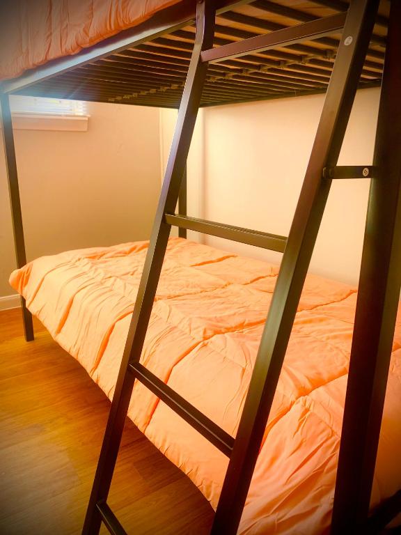 a bedroom with a bunk bed with a ladder at ShutEye Hostel in Houston