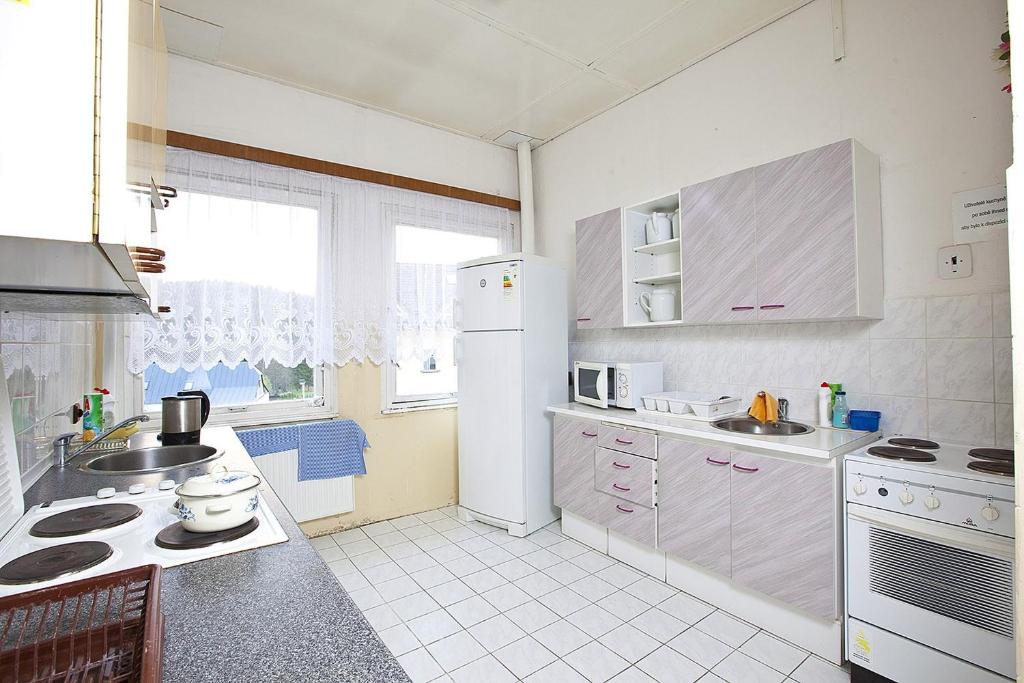 Kuchyň nebo kuchyňský kout v ubytování Hotel Sklárna Harrachov