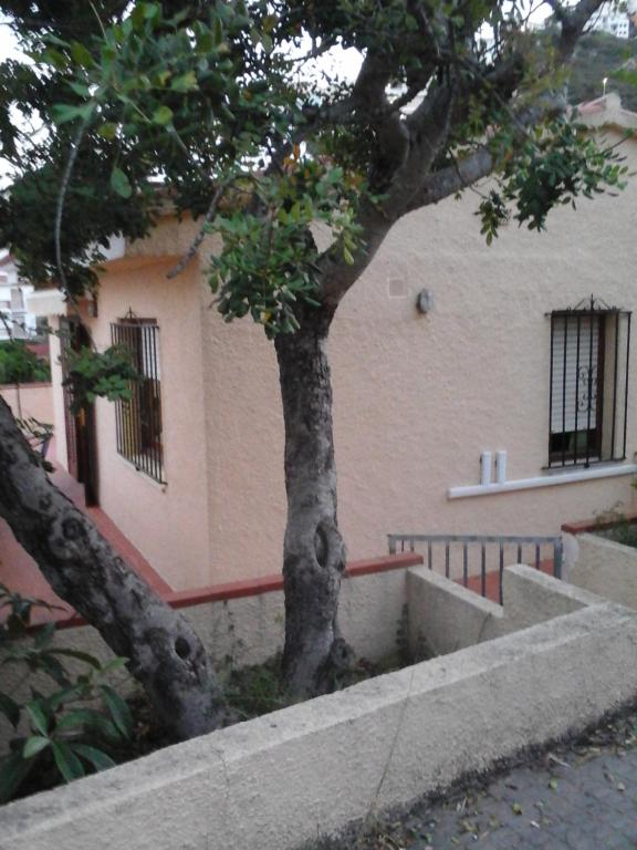 a tree in front of a building next to a stairs at El nispero in Peniscola