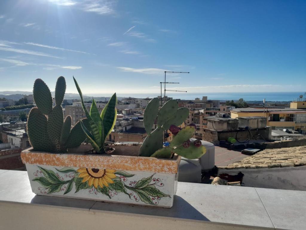 una pianta in vaso su un cornicione con vista sulla città di ANTICO VICOLO a Agrigento
