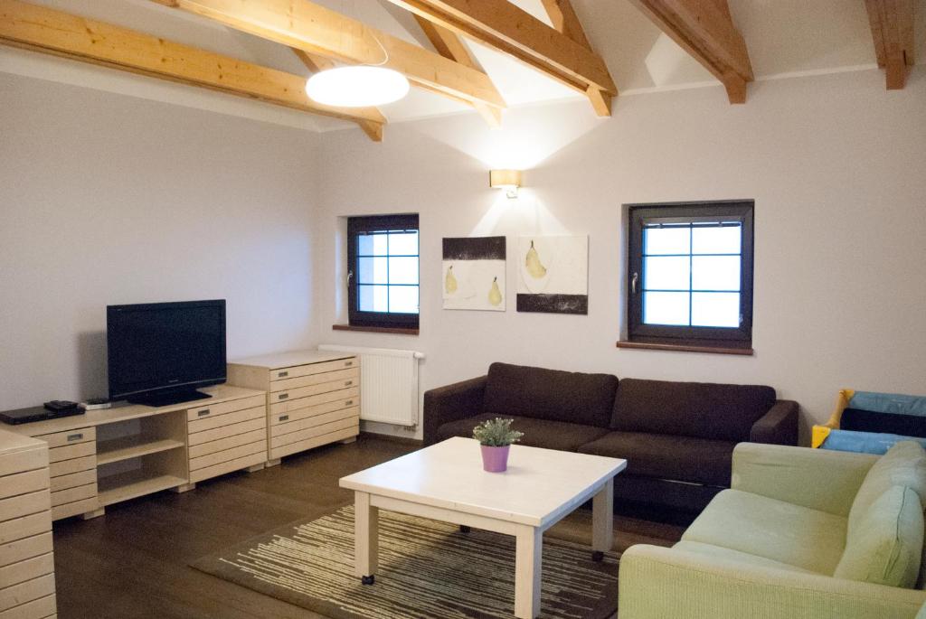 TV a/nebo společenská místnost v ubytování Apartmány Cestář Boží Dar