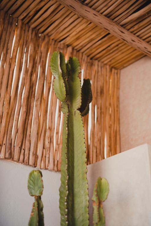 Fotografie z fotogalerie ubytování Riad Tizou v Marrákéši