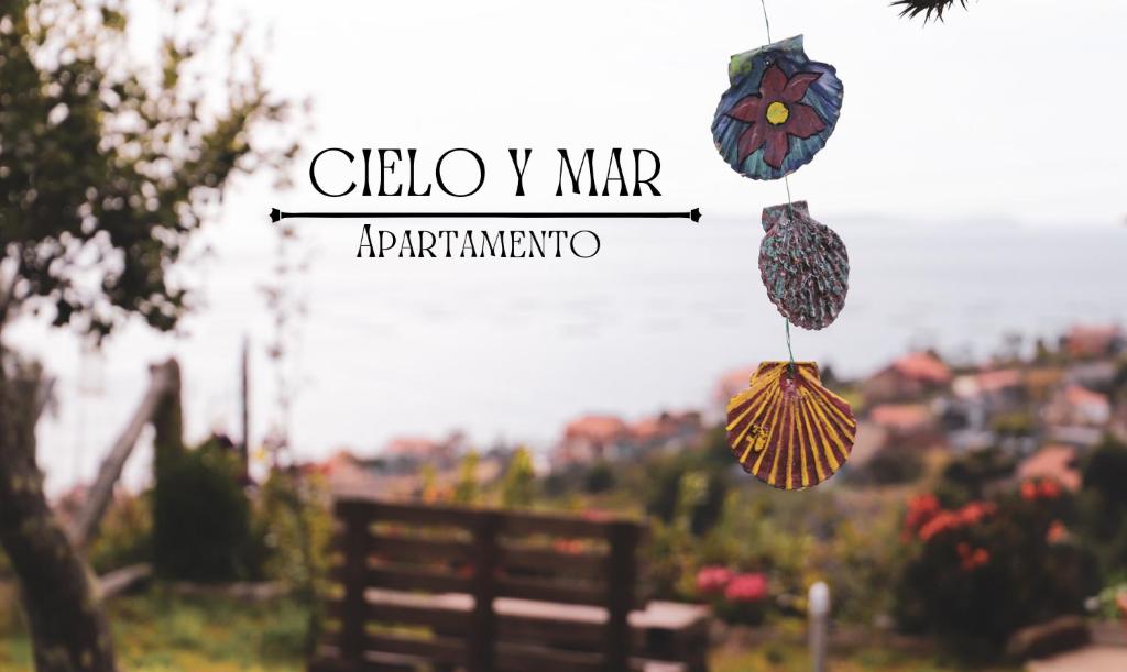two butterfly ornaments are hanging from a bench at Cielo y mar in Marín