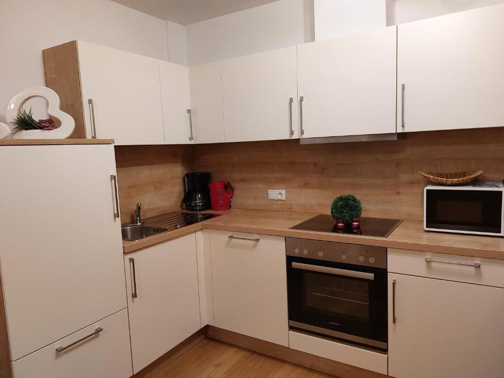 Kuchyň nebo kuchyňský kout v ubytování Apart Jakob