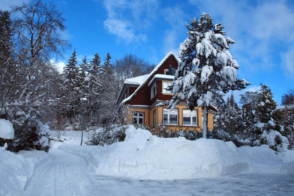 a house with a snow covered tree in front of it at Haus "Belvidere" in Elend