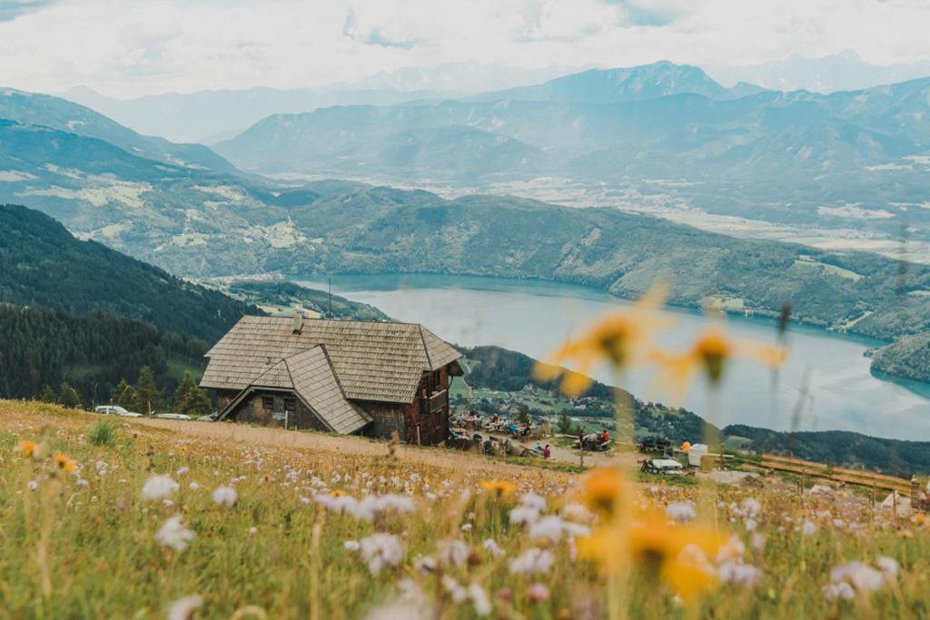 ミルシュタットにあるAlexanderhütte - nur zu Fuß erreichbarの湖のある丘の上の納屋