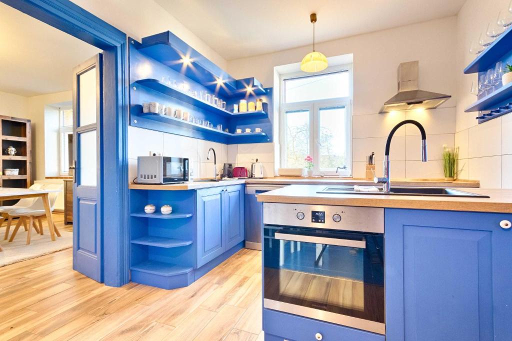 uma cozinha azul com um lavatório e um fogão em Chalupa Česká Kanada em Dobrohoř