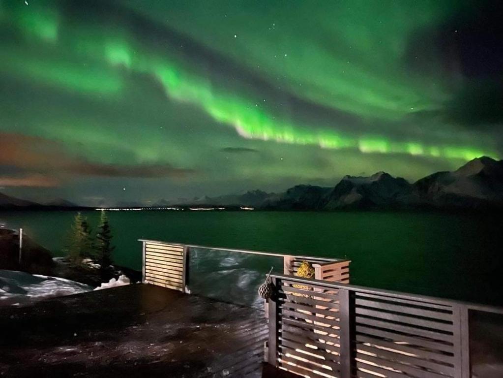 una imagen de las luces del norte en el cielo sobre el agua en Lyngen Panorama, Solberget en Storsletta