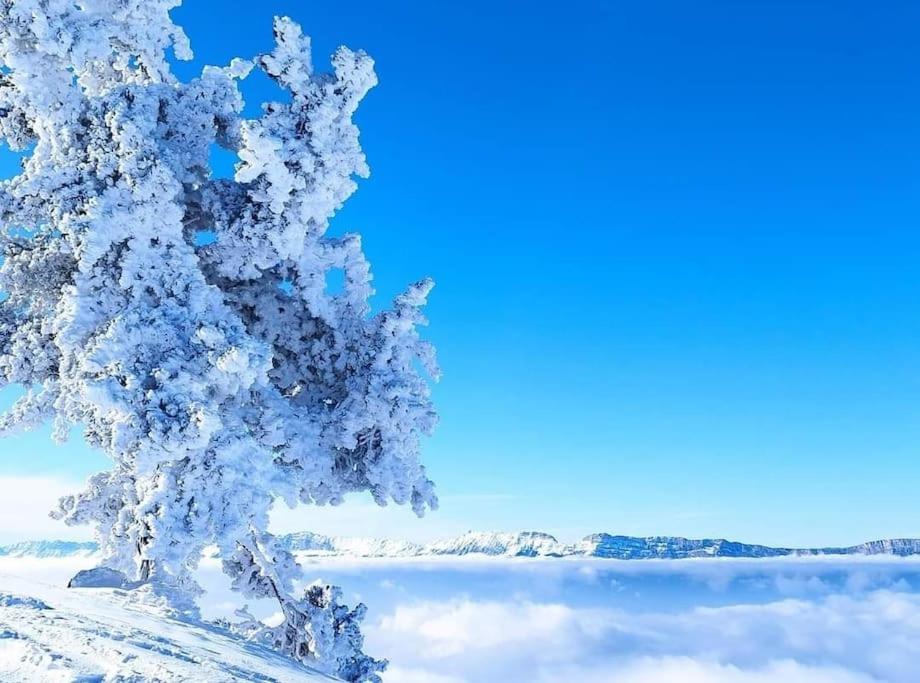 a snow covered tree in a snowy field at Charmant T2 proche des pistes superbe vue in Chamrousse