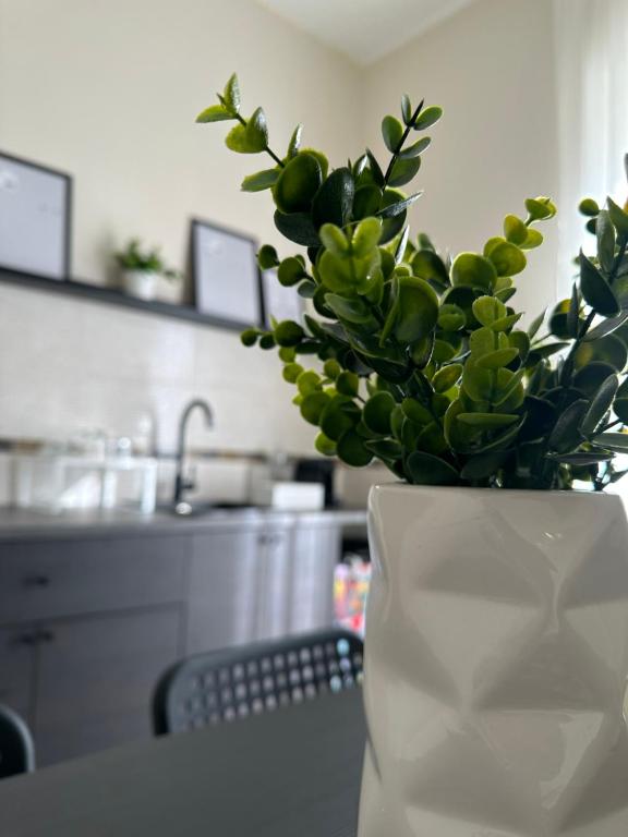 Cucina o angolo cottura di Diverso Apartment