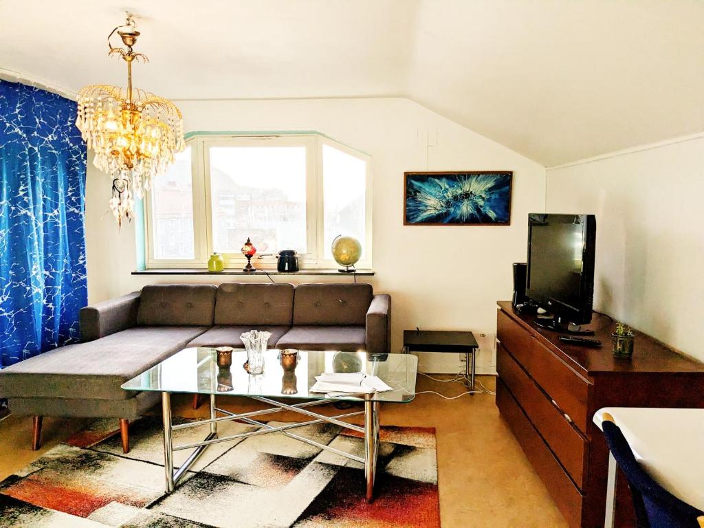 uma sala de estar com um sofá e uma televisão em Central studio apartment em Gotemburgo