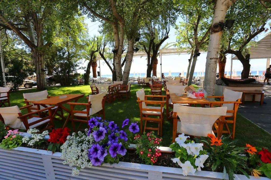 ogród ze stołami, krzesłami i kwiatami w obiekcie Квартира Халкидики Флогита / Ferienwohnung Chalkidiki Griechenland w mieście Flogita