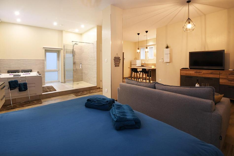 a large living room with a couch and a tv at Appartement Loft Detente in Strasbourg