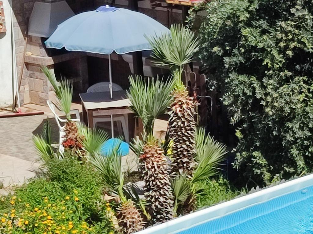 Fotografia z galérie ubytovania Le Due Palme v destinácii Marsala