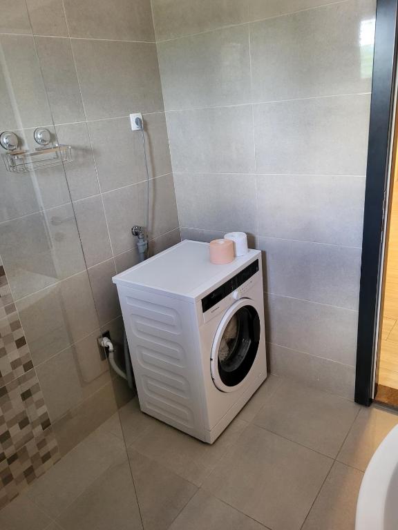 pralka w łazience z prysznicem w obiekcie Apartment in Vrsi with Air conditioning, WIFI, Washing machine, Dishwasher (4836-1) w mieście Vrsi