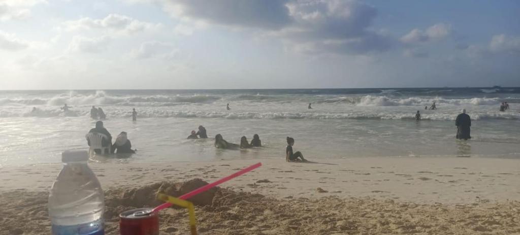 a group of people in the water at the beach at Island Hostel in Alexandria