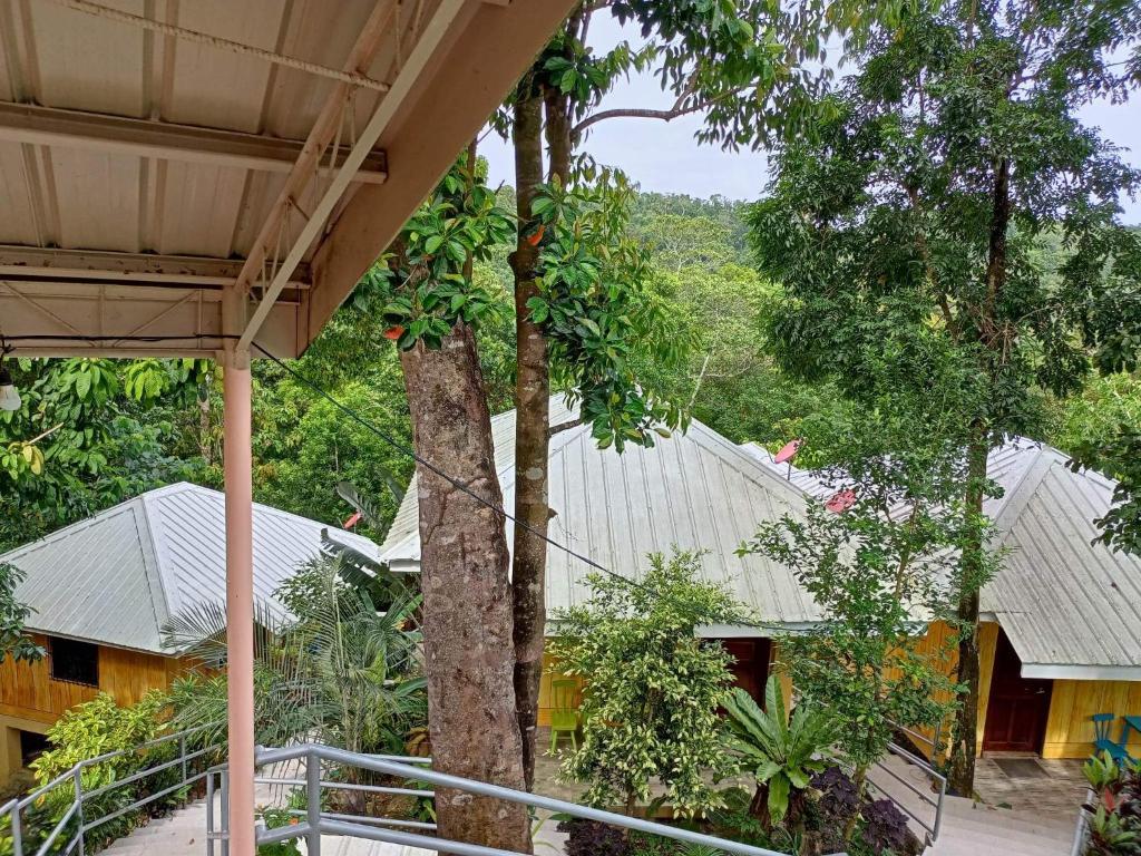 Blick auf ein Gebäude mit Bäumen im Hintergrund in der Unterkunft Woodland Inn in El Nido