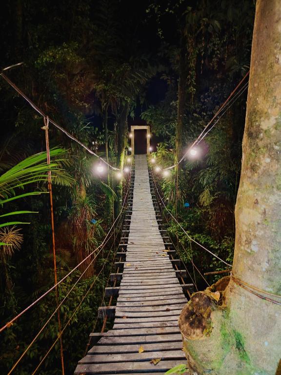 a wooden bridge in the middle of a forest at night at Pozas y Cascadas La Presa in Río Cuarto