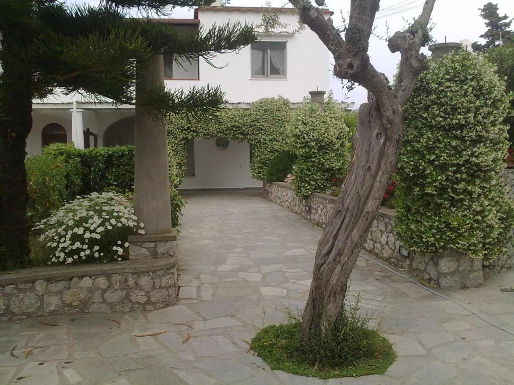 una pasarela de piedra que conduce a una casa con un árbol en Il Merlo, en Anacapri