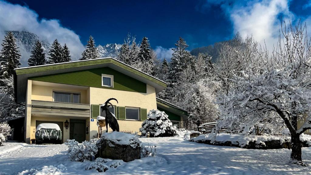 Waldchalet Steinbock žiemą