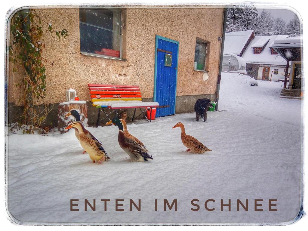 Haus Grubbach v zimě