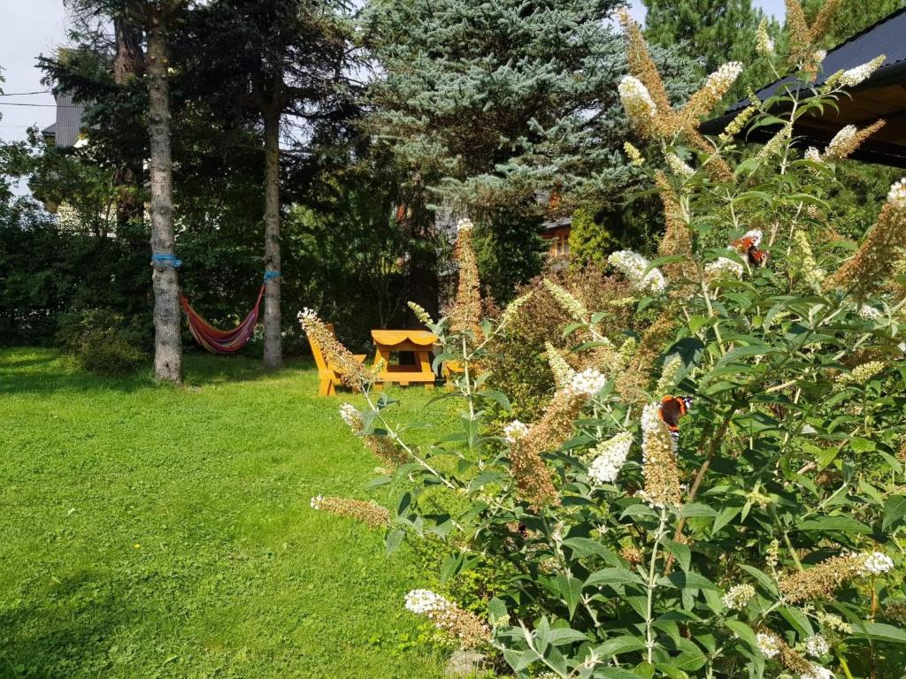 Vonkajšia záhrada v ubytovaní Stara chałupa