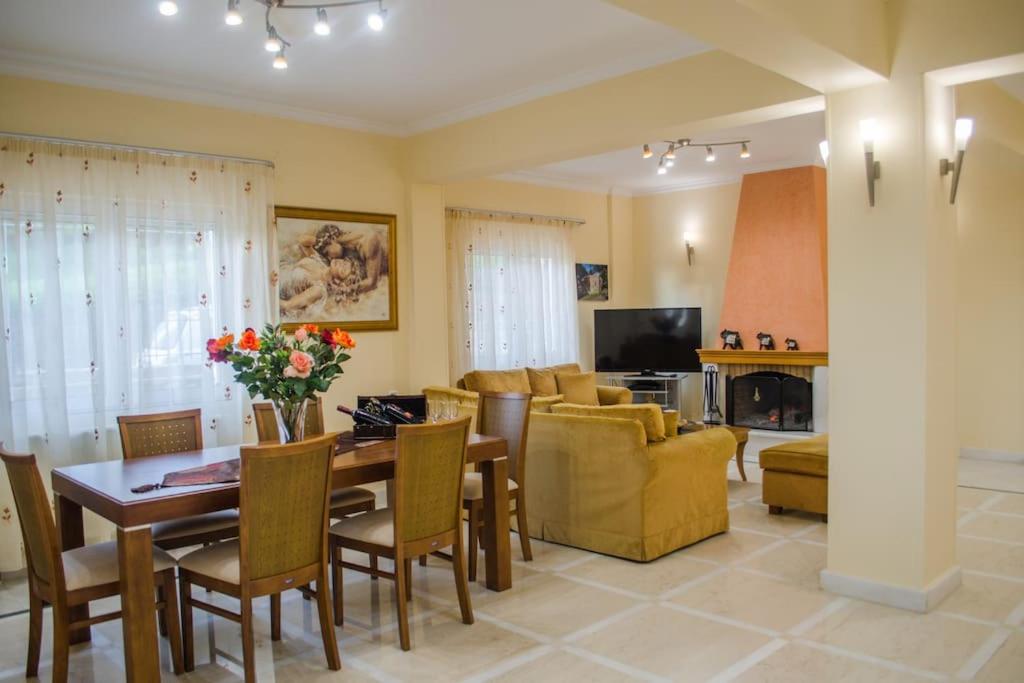 Televízia a/alebo spoločenská miestnosť v ubytovaní Villa Zenovia