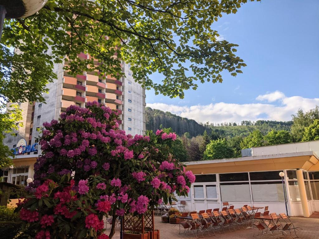 un arbre aux fleurs roses devant un bâtiment dans l'établissement Familien Apartmenthotel Panoramic, à Bad Lauterberg