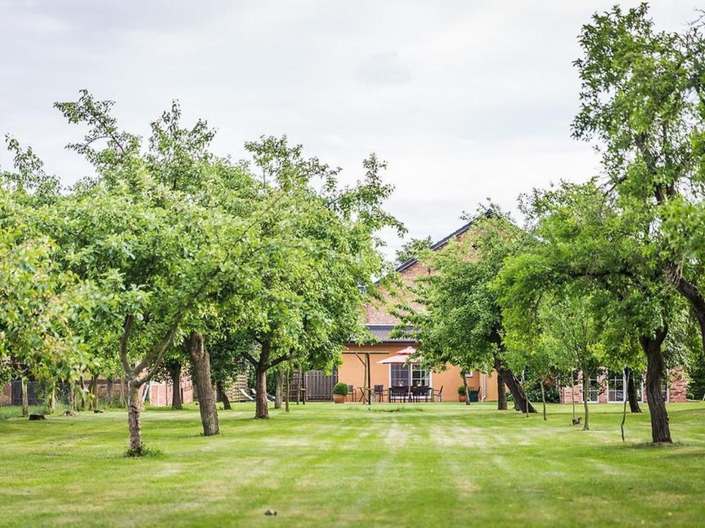 a yard with trees in front of a house at Ferienhaus Sükow in Perleberg