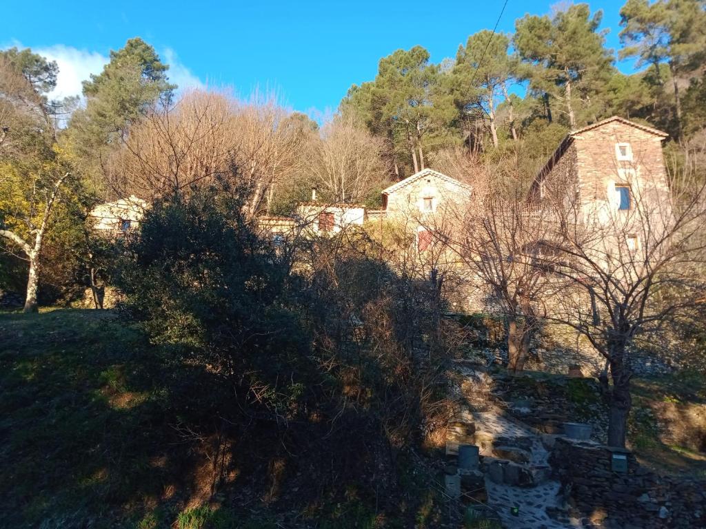 Príroda v okolí of the bed and breakfast