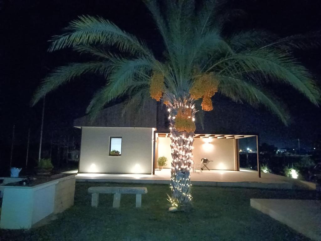 Zahrada ubytování B&B Giardinello