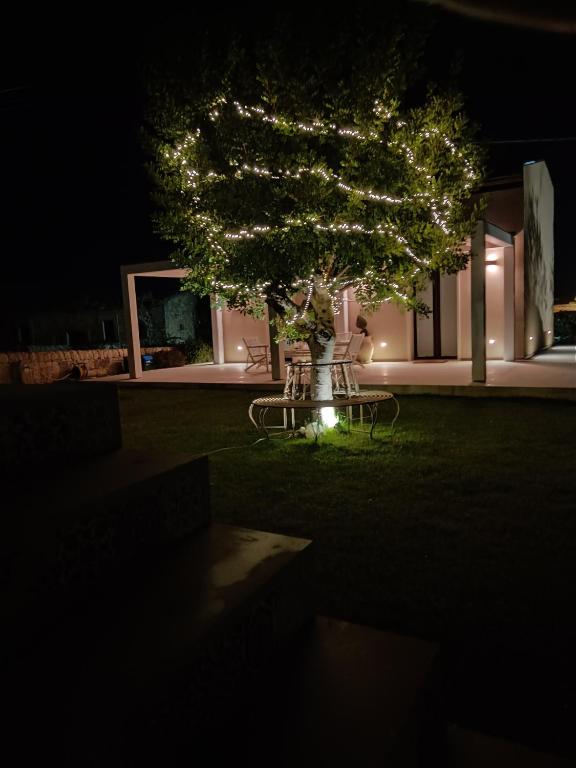 Zahrada ubytování B&B Giardinello