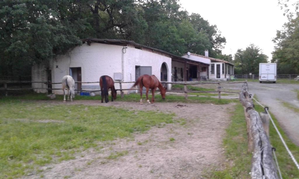 ferme équestre des abrons - Two-Bedroom House