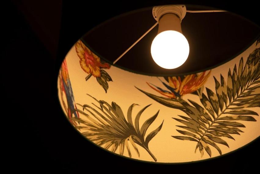 Fotografia z galérie ubytovania Blumen Apartment v Budapešti