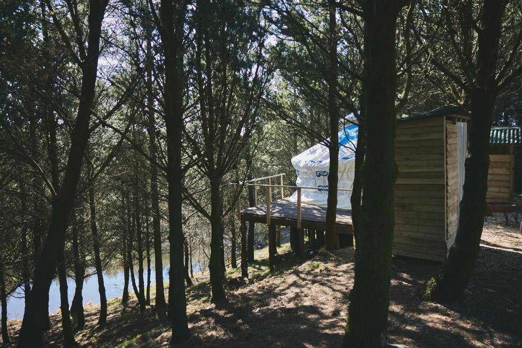 Gallery image of Raven Yurt - Yurtopia in Aberystwyth