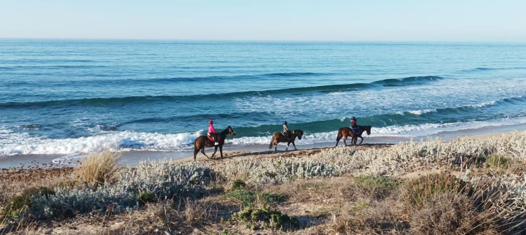 drie mensen paardrijden op het strand bij Casa Fiori di Arancio in Valledoria