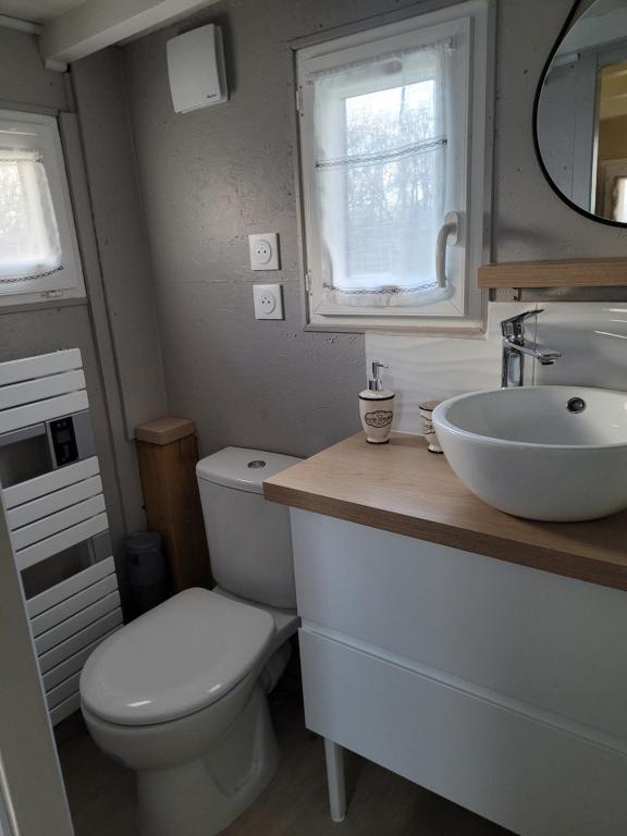 a small bathroom with a toilet and a sink at La paillote idyllique in Faverolles-sur-Cher