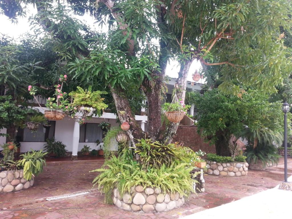 Zahrada ubytování Hotel Villa Maritza