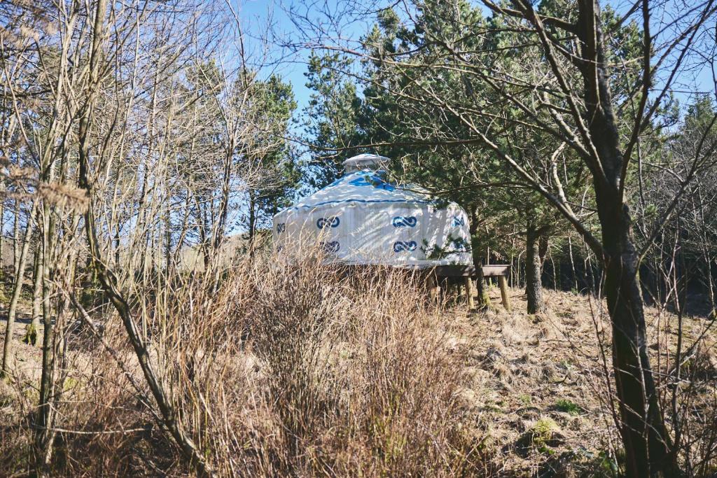 a person in a plastic bag in the woods at Elf Yurt - Yurtopia in Aberystwyth