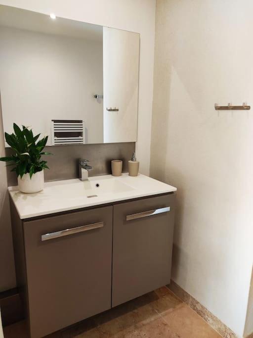 a bathroom with a sink and a mirror at Gite Himaya - Vaison la Romaine in Vaison-la-Romaine