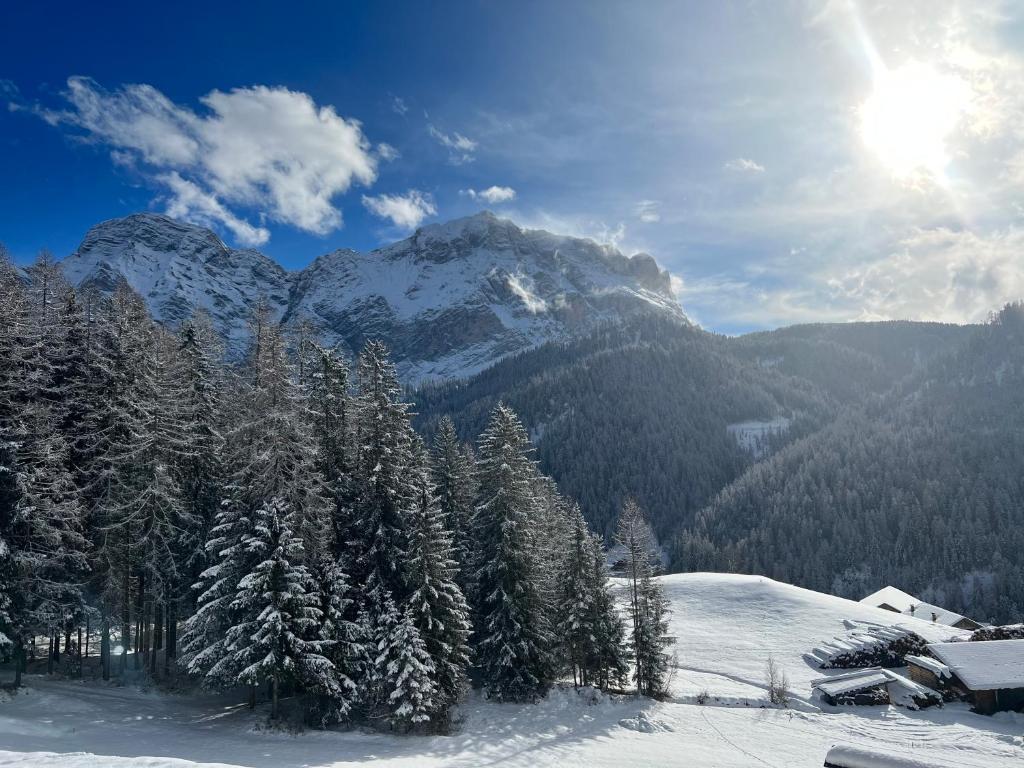 a snow covered mountain with trees in front of it at Appartaments Sanderhof in La Valle