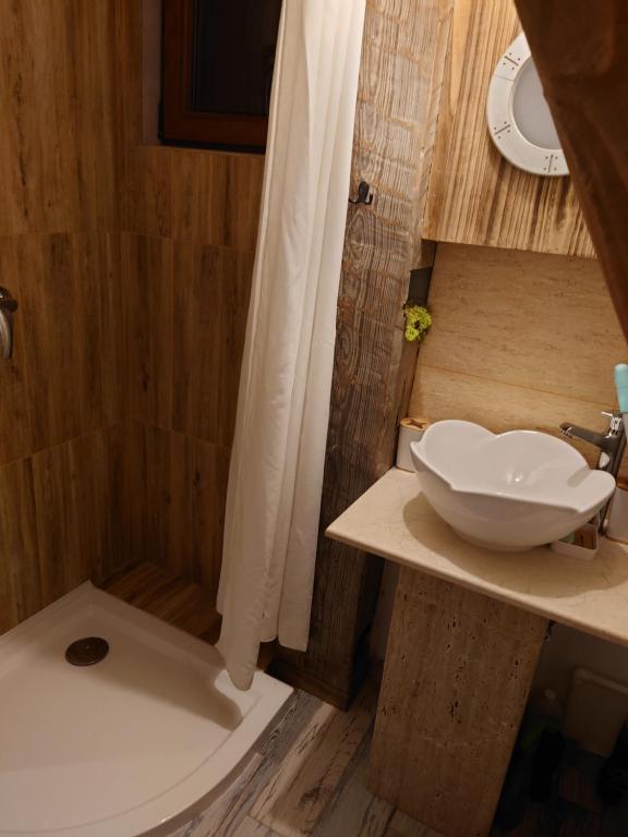 a bathroom with a sink and a toilet and a shower at Razele Trascaului in Rîmeţi